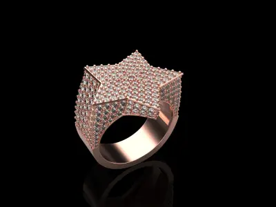 star ring model 797 3D print model