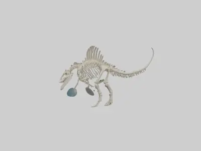 Elasmosaurus Skeleton model Low-poly 3D model