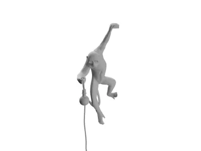 Monkey Wall Light 3D model
