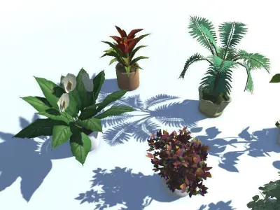 Indoor Potted Plant Lowpoly Low-poly 3D model