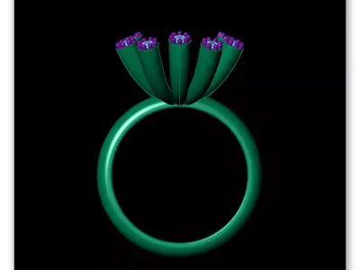 round luxury jewelry ring 3D print model