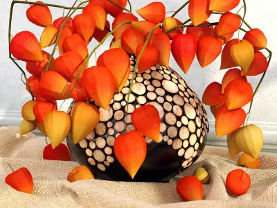 physalis in a vase 3D model