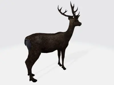 Deer 3d 3D model