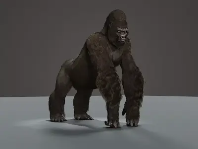 Gorilla animation 3D model