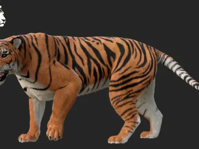 Tiger 3D model