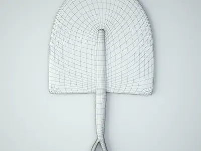 African Handwoven Fan 5 3D model