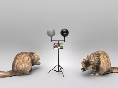 Fluffy cat licking itself 34 Low-poly 3D model