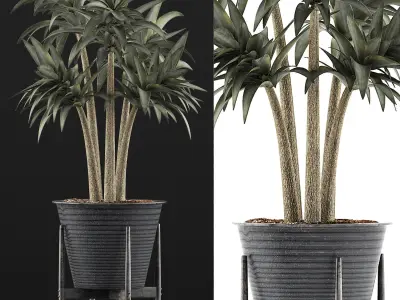 Plants Collection 117 3D model