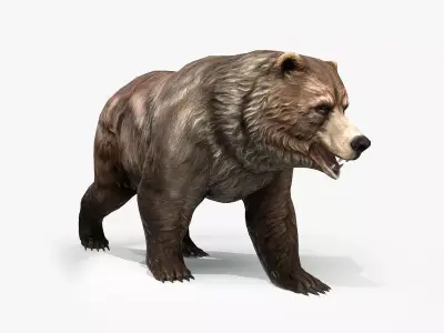 Grizzly Bear Low Poly  Low-poly 3D model