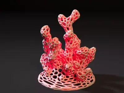 Coral Voronoi decor 3D print model