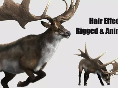 megaloceros elk deer moose Low-poly 3D model