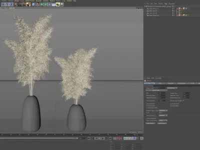 Decorative Pampas 3D model