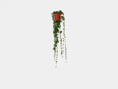 Hedera helix long ranks Low-poly 3D model