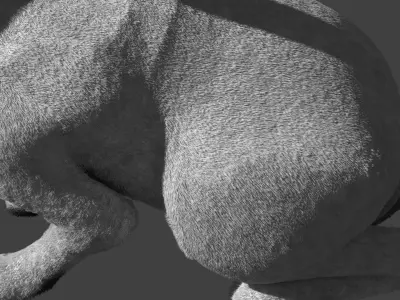 Rabbit BW ANIMATED FUR 3D model