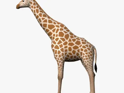 Giraffe Low-poly 3D model 13