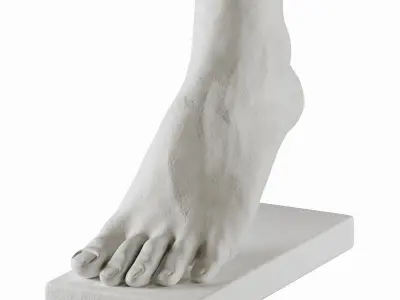 foot sculpture 3D model