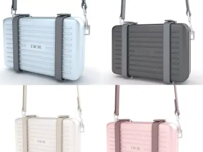 Dior and Rimowa Clutch Collection 3D model