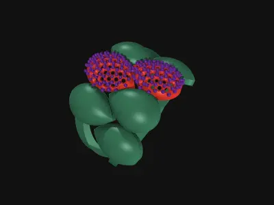 DIAMOND RING  3D print model