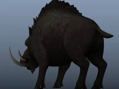 WildBoar 3D model