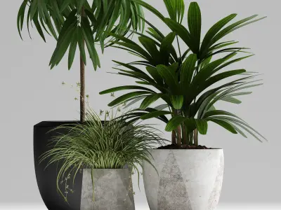 plants set 134 3D model
