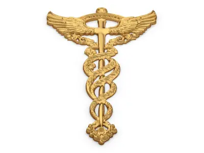 Relief Caduceus carved 02 3D model