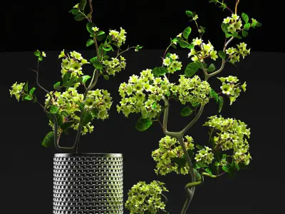 Flower Vase Set 3D model