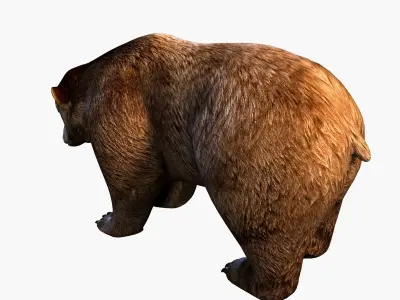 Bear brown Low-poly 3D model