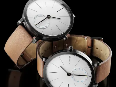 Watch Skagen SKW6216 3D model