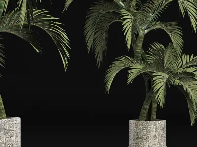 Plants Collection 162 Egyptian Palm 3D model