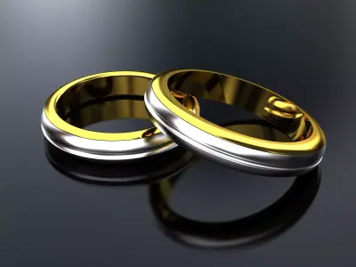 double metal wedding ring Free 3D print model
