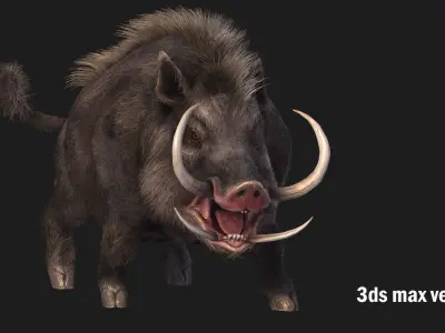 boar pig beast  Low-poly 3D model