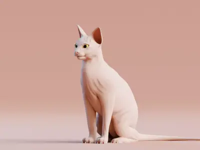 Low poly - Stylized cats - Sphynx Cat  Low-poly 3D model