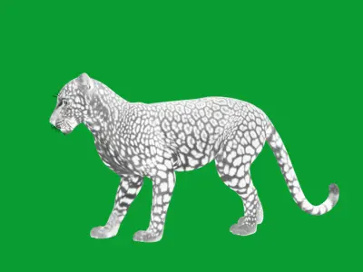 African  Leopard Low-poly 3D model