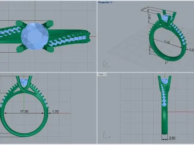 ring code 219 3D print model