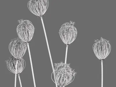 Decor Set 89 Coral vase branch plants Buddha nuts 3D model