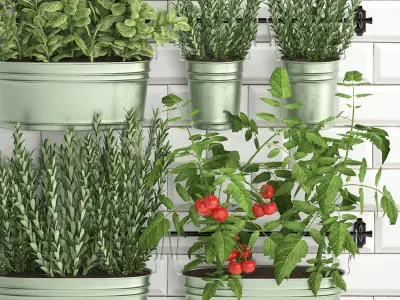 Decorative plants for the kitchen on railing 380 3 3D model