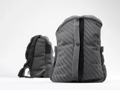 Backpack two backpacks 3D model