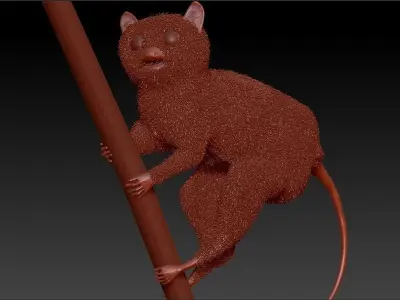 Philippine tarsier 3D model