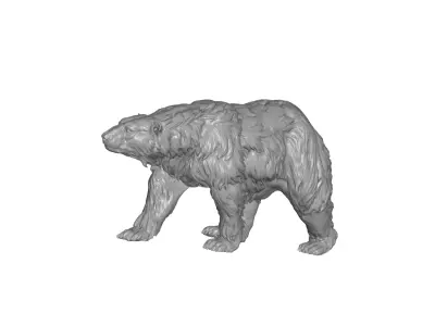 bear 5 3D model