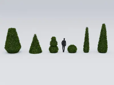 Garden boxwood set v4 Low-poly 3D model