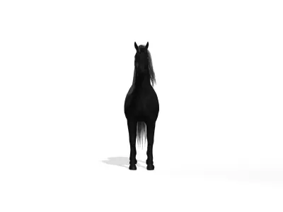Black Dark Horse Low-poly 3D model