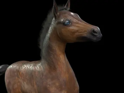 Thoroughbred Arabian Horse WILD WORLD PONY 7 Low-poly 3D model