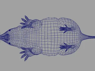 mole mammal 3D model