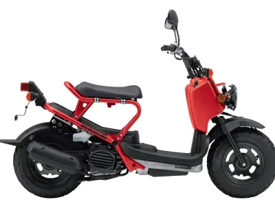 Honda Zoomer 3D model