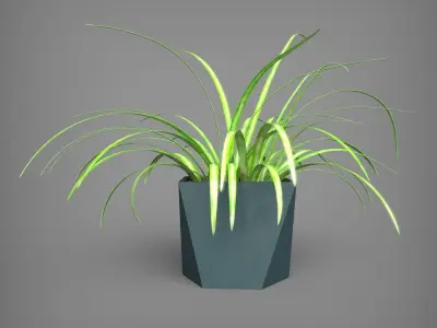 Interior Plant and Pot Chlorophytum  3D model