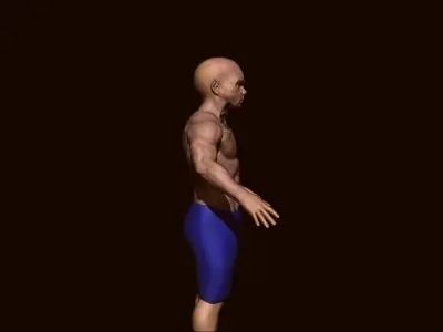 boy bodybuilder  Low-poly 3D model