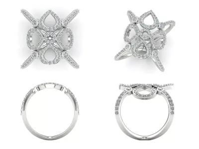 Ring ri216 3D print model