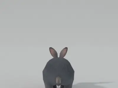 Grey Rabbit Low-poly 3D model