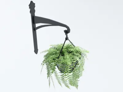 Fern in Hanging Pot Low-poly 3D model