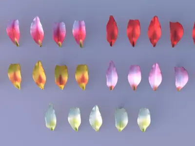 Lily Petals in 5 Colors Low-poly 3D model